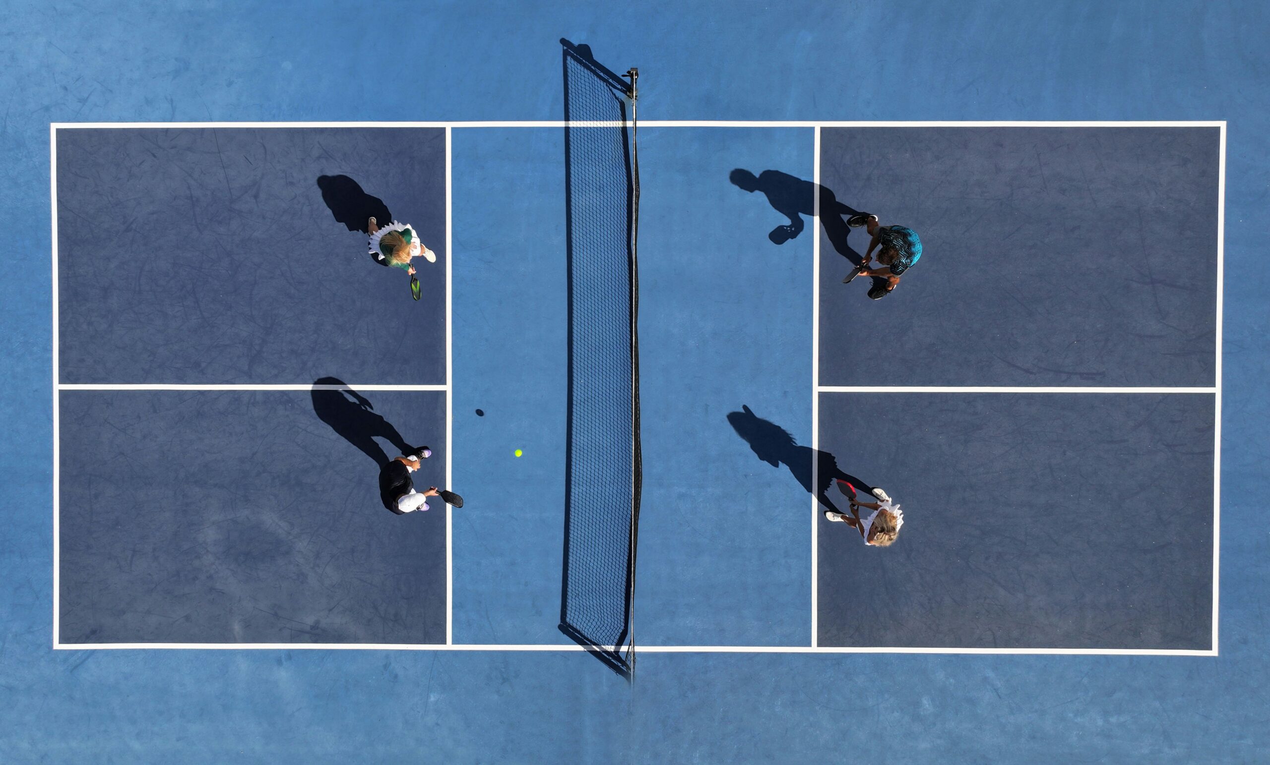 Unlock the Essentials of Pickleball: A Beginner's Guide to Mastering the Game by Daniel Meynet